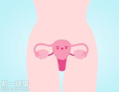 怎样保护卵巢不早衰 细数保护卵巢的5大方法
