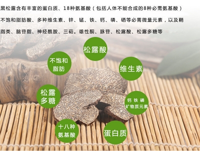 黑松露菌长在哪黑松露对人体有哪些功效
