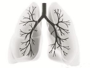抗肺癌