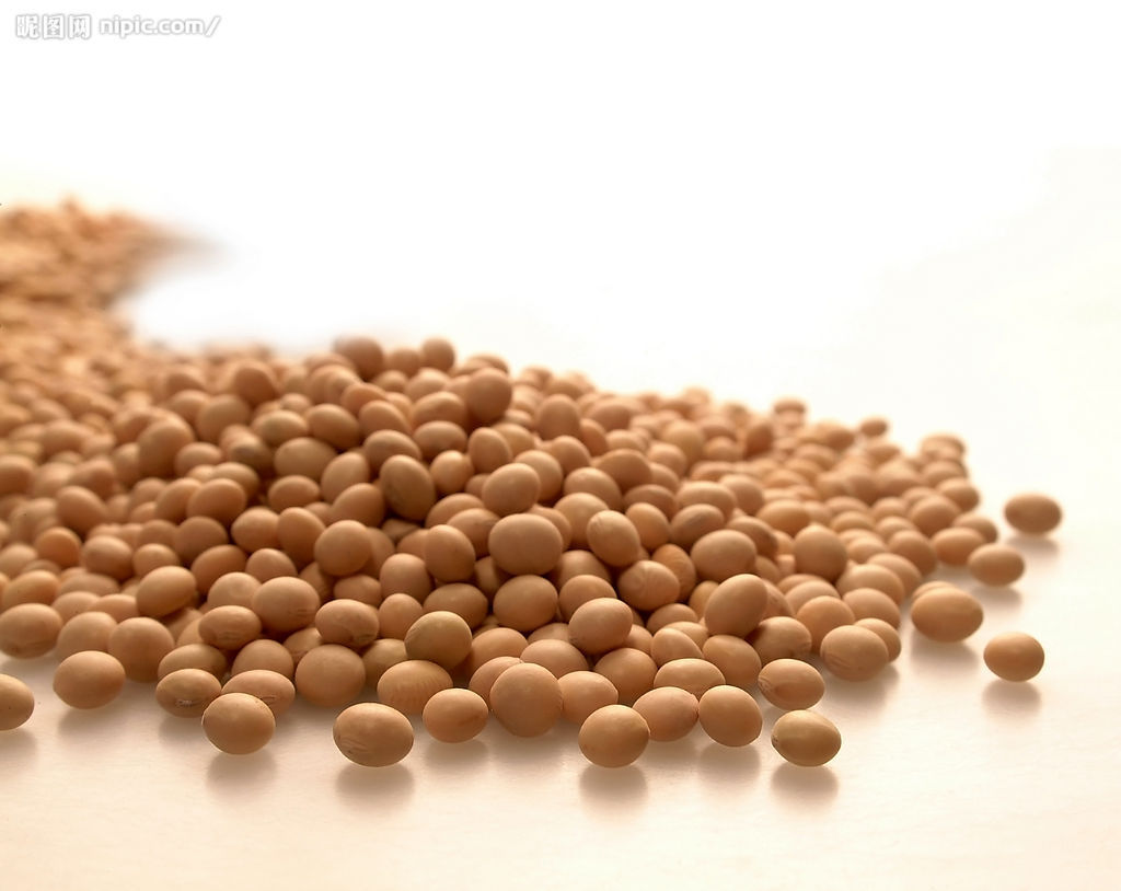大豆卵磷脂的副作用具体有哪些