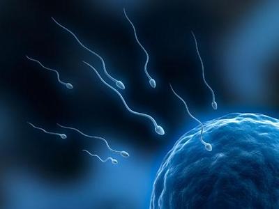 如何提高精子活力与受孕成功率