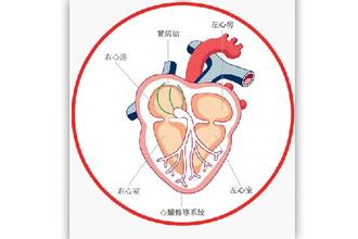 长期服用复方丹参片影响心脏功能