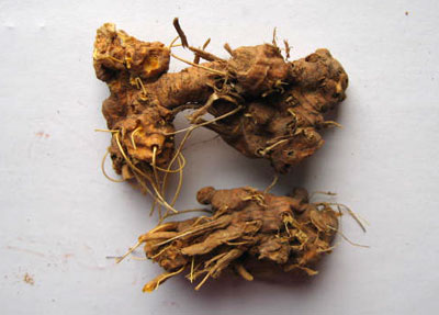 射干的功效与作用