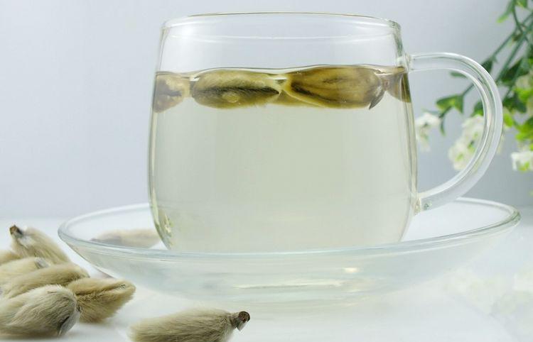 养生茶 减肥茶 辛夷花茶