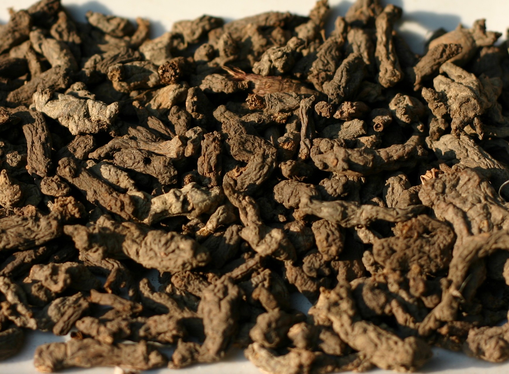 天葵子的功效与作用_天葵子的功效与作用知识百科