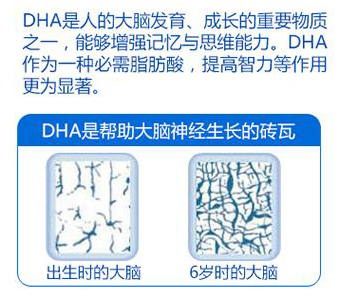 DHA的功效与作用_DHA的功效与作用知识百科