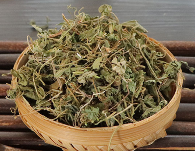 地丁草泡水喝的功效与作用地丁草的注意事项