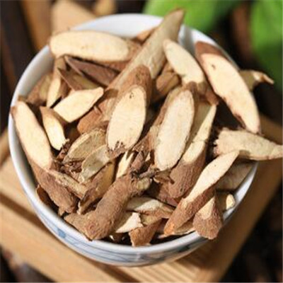 植物一条根有什么功效与作用详解它的4个主要作用
