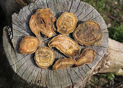 大黄泡水喝有什么功效介绍泡水喝的5个好处