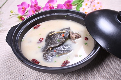 甲鱼鞭有哪些功效甲鱼鞭的2大作用