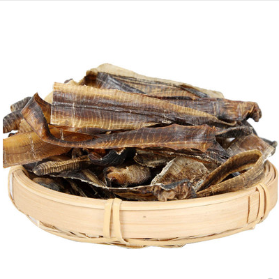 image 地龍的功效與作用有哪些