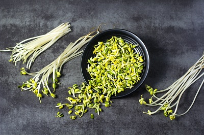 image 绿豆芽