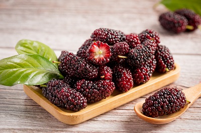 image 桑葚堅果法