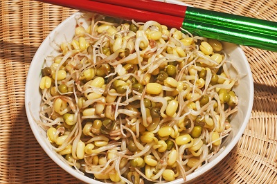 image 黄豆芽