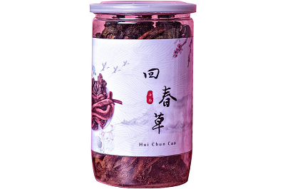回春草